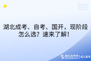 湖北成考、自考、国开，现阶段怎么选？速来了解！