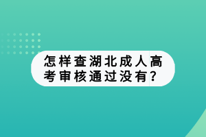怎样查湖北成人高考审核通过没有？