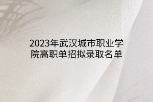 2023年武汉城市职业学院高职单招拟录取名单