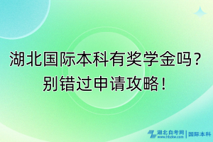 湖北国际本科有奖学金吗？别错过申请攻略！
