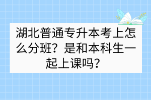 湖北普通专升本考上怎么分班？是和本科生一起上课吗？