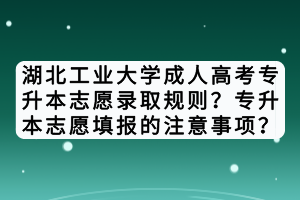 湖北工业大学成人高考专升本志愿录取规则？专升本志愿填报的注意事项？