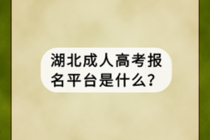 湖北成人高考报名平台是什么？