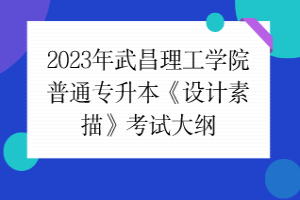 2023年武昌理工学院普通专升本《设计素描》考试大纲