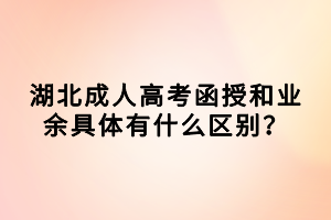 湖北成人高考函授和业余具体有什么区别？