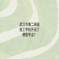 武汉市第二高级技工学校开设了哪些专业？