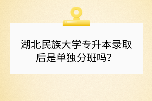 湖北民族大学专升本录取后是单独分班吗？
