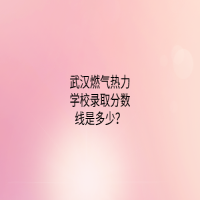 武汉燃气热力学校录取分数线是多少？