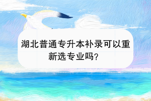 湖北普通专升本补录可以重新选专业吗？