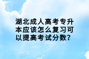 湖北成人高考专升本应该怎么复习可以提高考试分数？