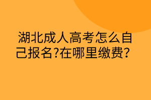 湖北成人高考怎么自己报名?在哪里缴费？