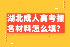 湖北成人高考报名材料怎么填？