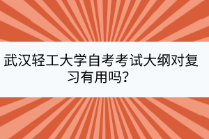 武汉轻工大学自考考试大纲对复习有用吗？