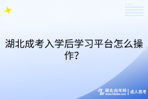 湖北成考入学后学习平台怎么操作？