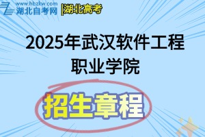 2025年武汉软件工程职业学院招生章程