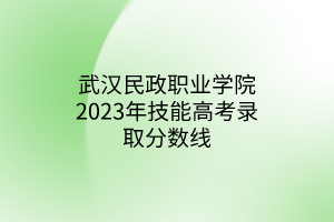 武汉民政职业学院2023年技能高考录取分数线