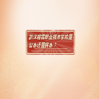 武汉榕霖职业技术学校是公办还是民办？