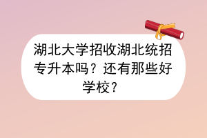 湖北大学招收湖北统招专升本吗？还有那些好学校？
