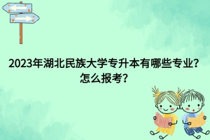 湖北民族大学专升本有哪些专业？怎么报考？