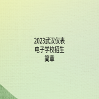 2023武汉仪表电子学校招生简章