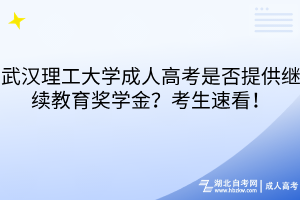 武汉理工大学成人高考是否提供继续教育奖学金？考生速看！