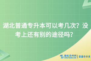 湖北普通专升本可以考几次？没考上还有别的途径吗？