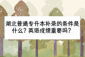 湖北普通专升本补录的条件是什么？英语成绩重要吗？