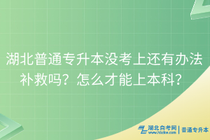 湖北普通专升本没考上还有办法补救吗？怎么才能上本科？