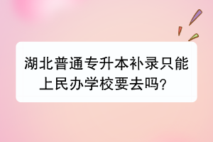 湖北普通专升本补录只能上民办学校要去吗？