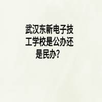 武汉东新电子技工学校是公办还是民办？