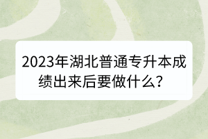 2023年湖北普通专升本成绩出来后要做什么？