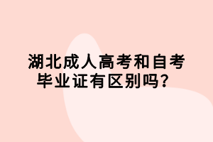 湖北成人高考和自考毕业证有区别吗？