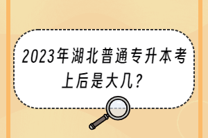 2023年湖北普通专升本考上后是大几？