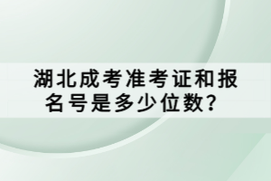 湖北成考准考证和报名号是多少位数？