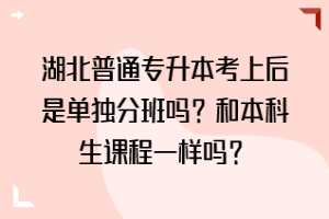 湖北普通专升本考上后是单独分班吗？和本科生课程一样吗？