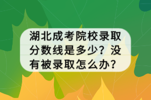 湖北成考院校录取分数线是多少？没有被录取怎么办？