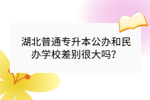 湖北普通专升本公办和民办学校差别很大吗？
