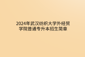 2024年武汉纺织大学外经贸学院普通专升本​招生简章