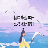 初中毕业学什么技术比较好？