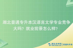 湖北普通专升本汉语言文学专业竞争大吗？就业前景怎么样？