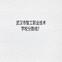 武汉市智工职业技术学校分数线？