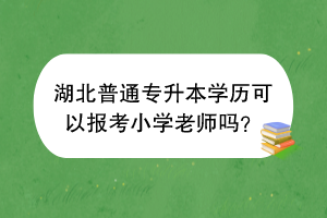 湖北普通专升本学历可以报考小学老师吗？