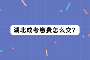 湖北成考缴费怎么交？