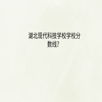 湖北现代科技学校学校分数线？