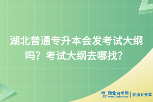 湖北普通专升本会发考试大纲吗？考试大纲去哪找？