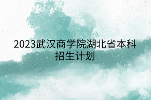 2023武汉商学院湖北省本科招生计划
