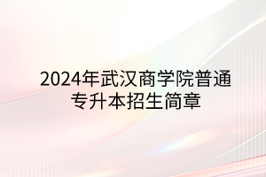 2024年武汉商学院专升本招生简章