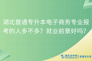 湖北普通专升本电子商务专业报考的人多不多？就业前景好吗？