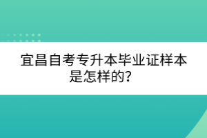 宜昌自考专升本毕业证样本是怎样的？