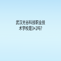 武汉光谷科技职业技术学校是3+2吗?